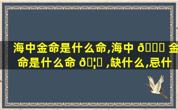 海中金命是什么命,海中 💐 金命是什么命 🦈 ,缺什么,忌什么